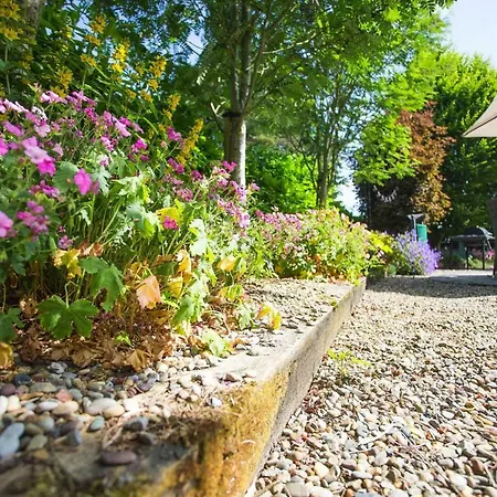 Terraced Houses Courtyard Garlow Cross Eir04048 Iyb